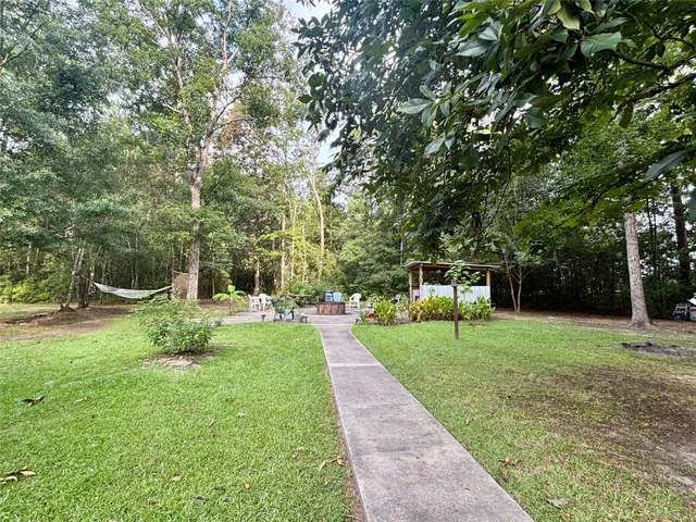 a view of a park with plants and trees