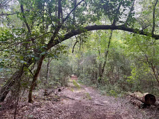a view of a yard with a tree