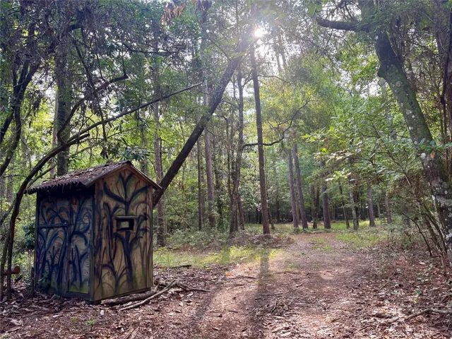 a view of a wooden house with large trees