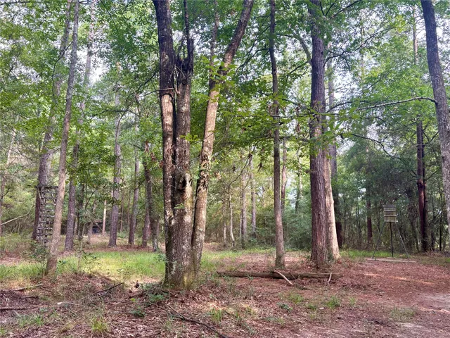 a backyard of a house with large trees