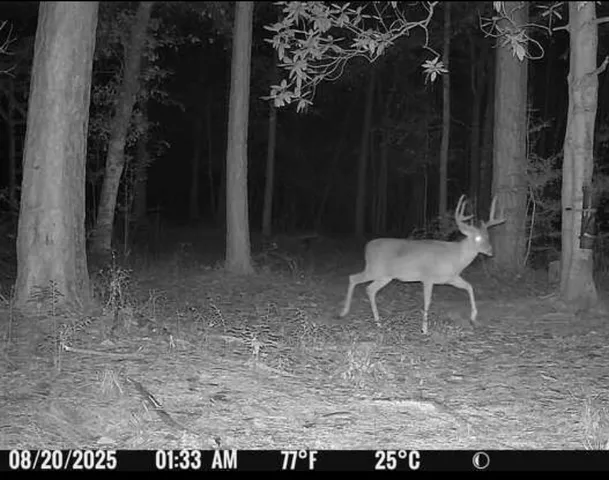a view of a outdoor space
