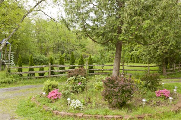 57 Concord Road Wayland, MA 01778 - Photo 9 of 10 a view of a garden with plants and large trees