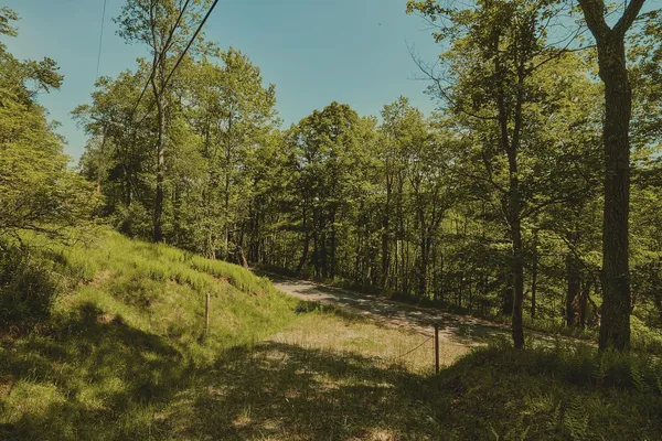 $100,000 | 0 Benton Hollow, Liberty, NY 12754
