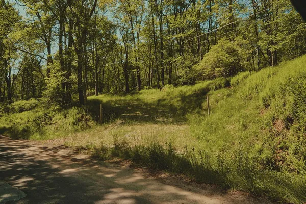 $100,000 | 0 Benton Hollow, Liberty, NY 12754