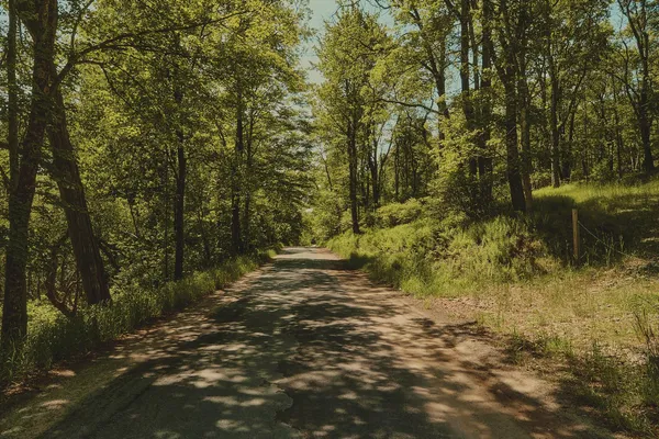 $100,000 | 0 Benton Hollow, Liberty, NY 12754