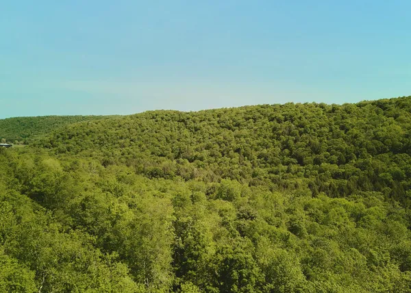 $100,000 | 0 Benton Hollow, Liberty, NY 12754