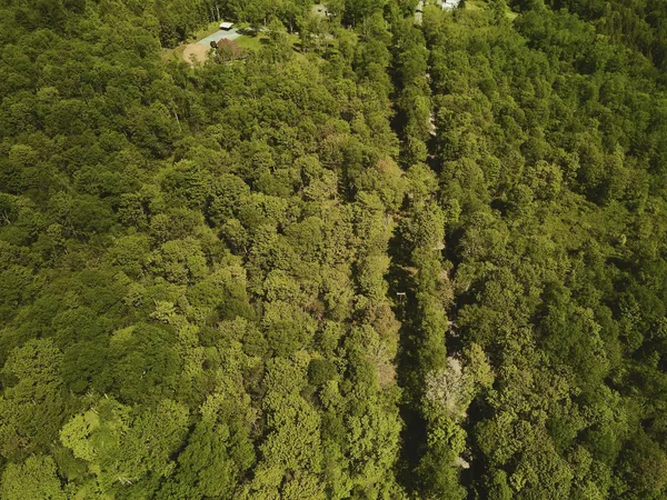 $100,000 | 0 Benton Hollow, Liberty, NY 12754