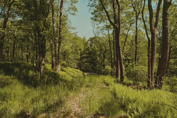 $100,000 | 0 Benton Hollow, Liberty, NY 12754
