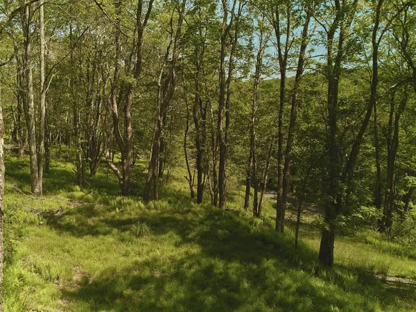 $100,000 | 0 Benton Hollow, Liberty, NY 12754