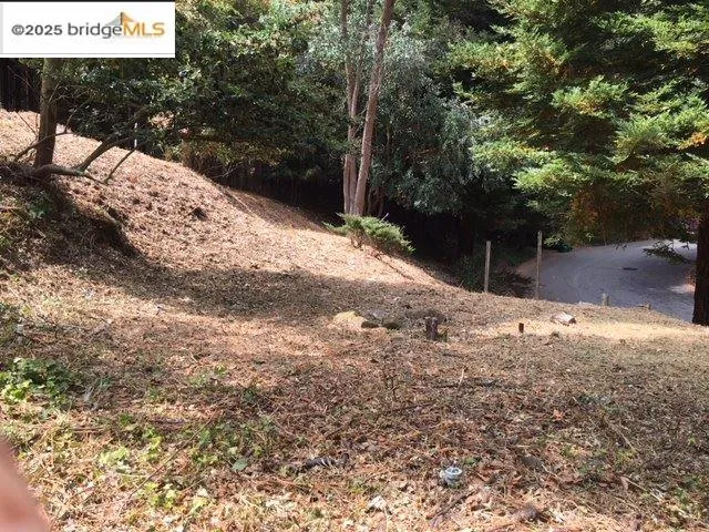 a view of a yard with wooden fence