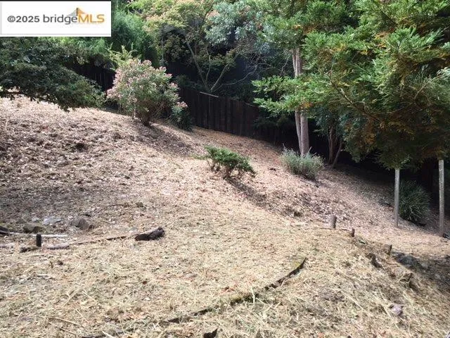 a view of a yard with plants and trees