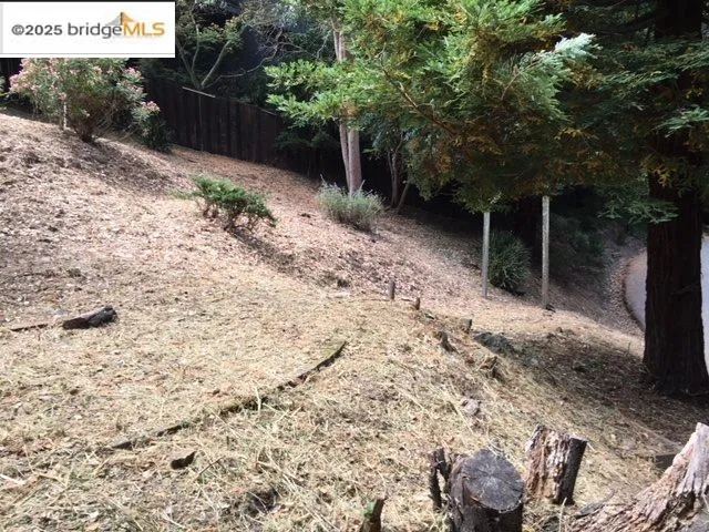 a backyard of a house with lots of green space