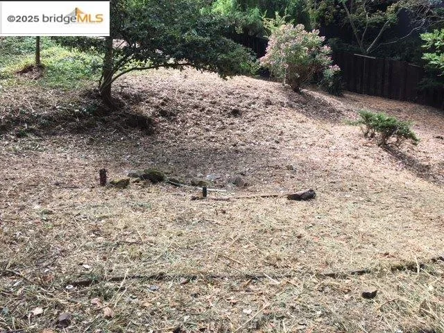 a view of a dry yard covered with trees