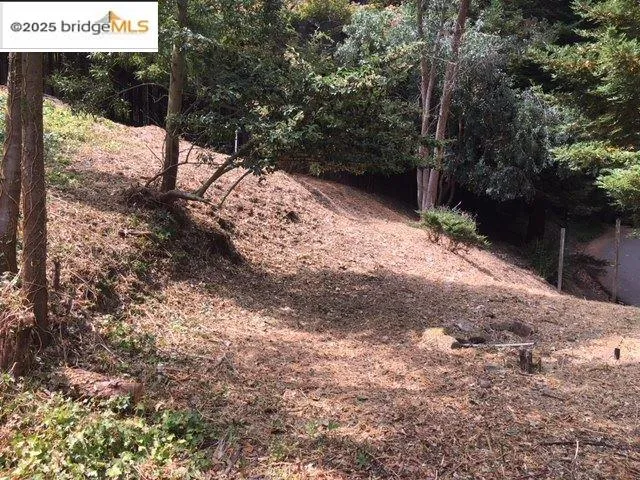 a view of a yard covered in snow