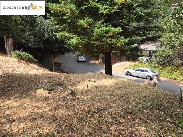 a street view with a car parked