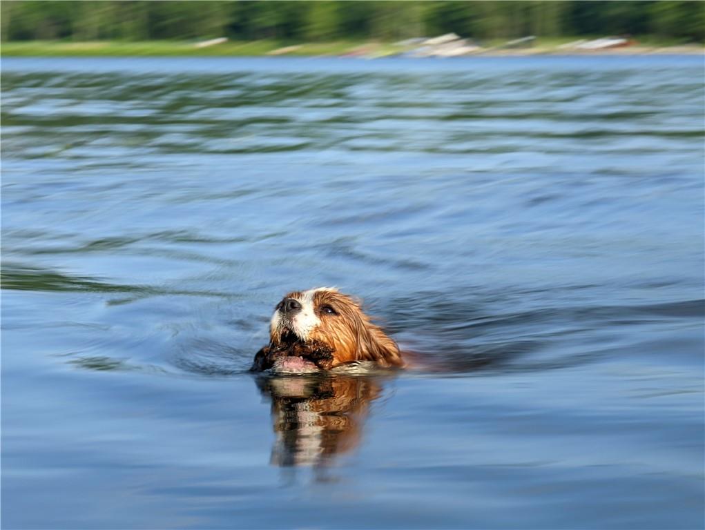 55 Elm St Extension Stoneboro, PA 16153 - Photo 14 of 44 a view of a wooden floor in a yard