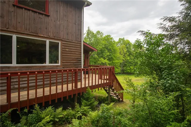 a view of a backyard with plants