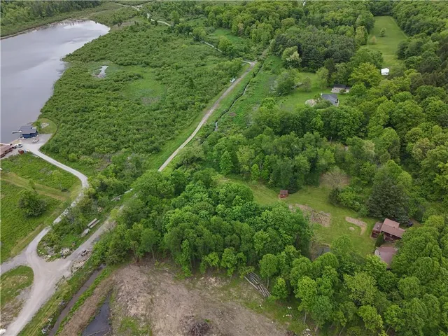 a view of a lush green forest with lots of trees