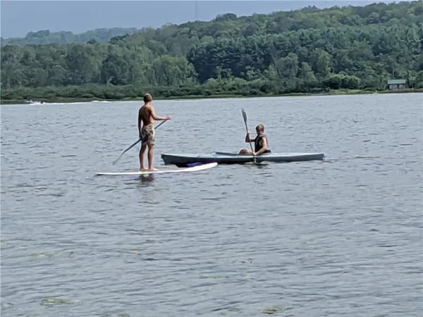 a view of swimming pool and trees in the background