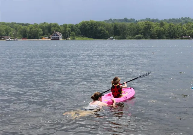 a view of outdoor space and yard