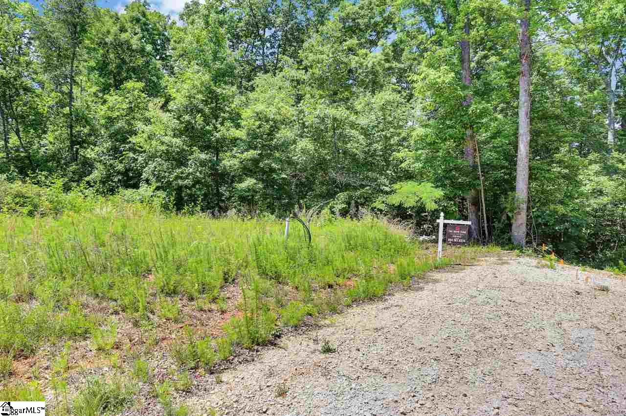 3137 State Park Road Greenville, SC 29609 - Photo 21 of 33