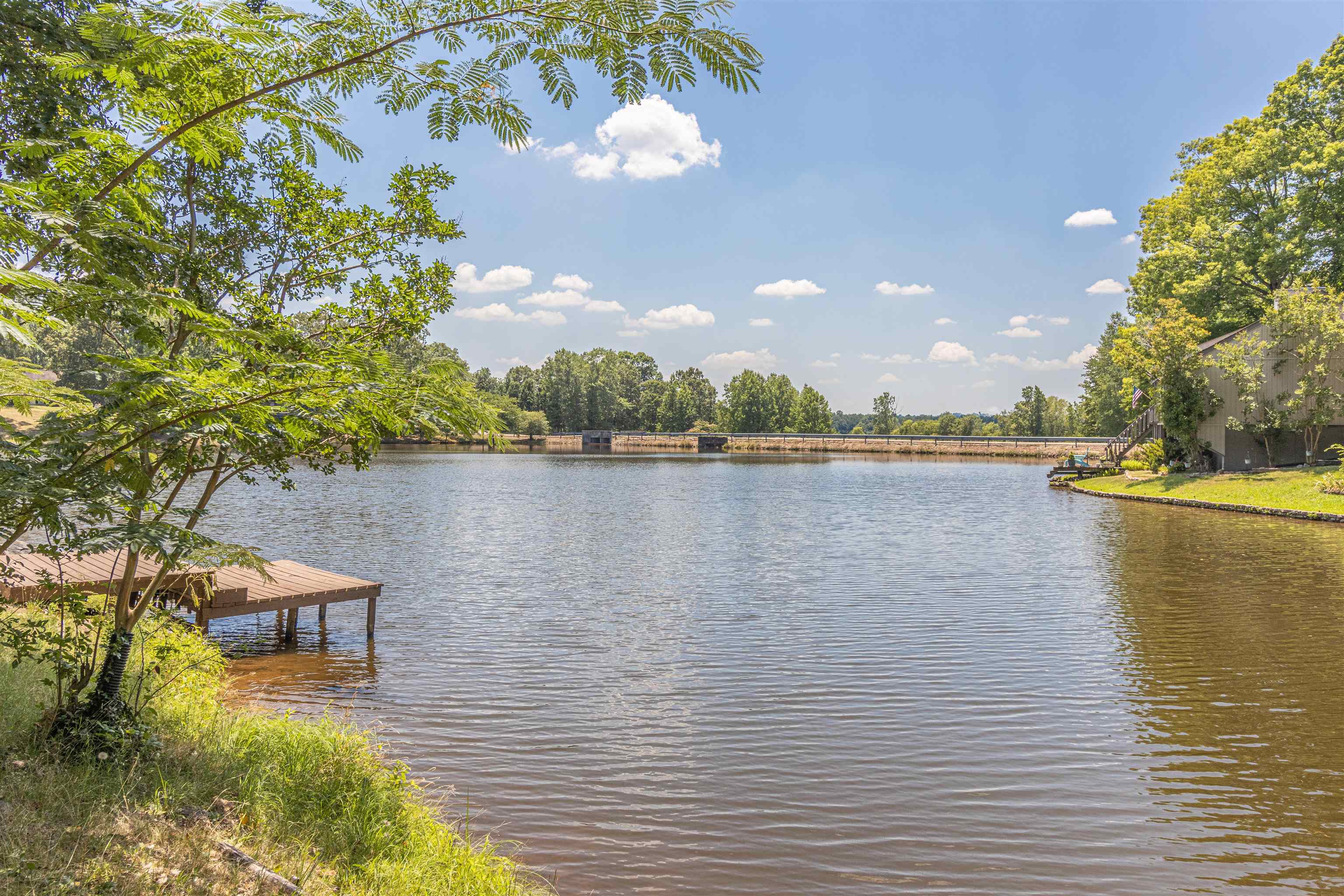 651 Pine Street Adamsville, TN 38310 - Photo 5 of 25 a view of a lake with houses in the back