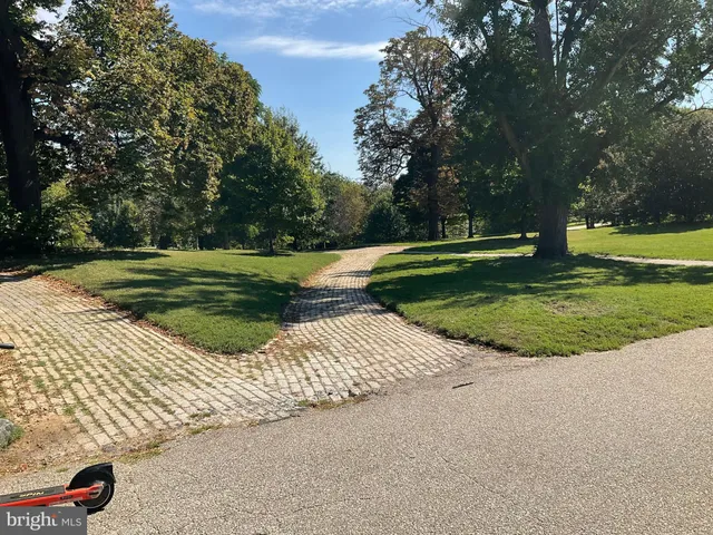 a view of a park with large trees