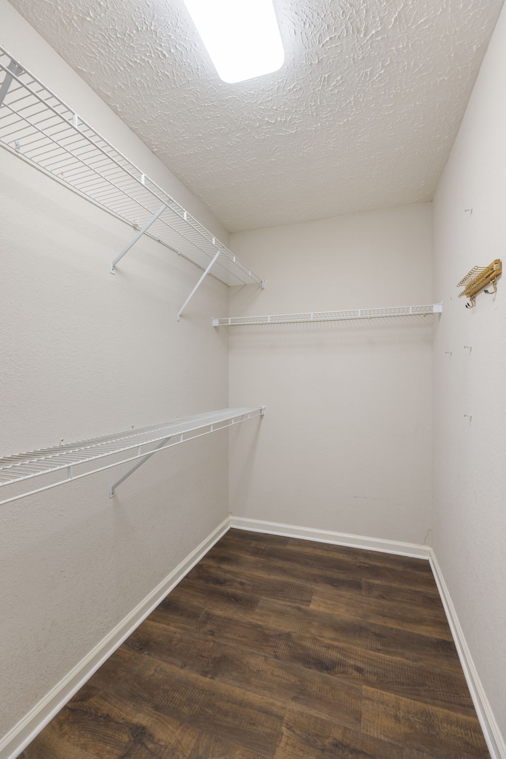 1240 Hunters Point Lane Spring Hill, TN 37174 - Photo 33 of 58 a view of an empty walk in closet