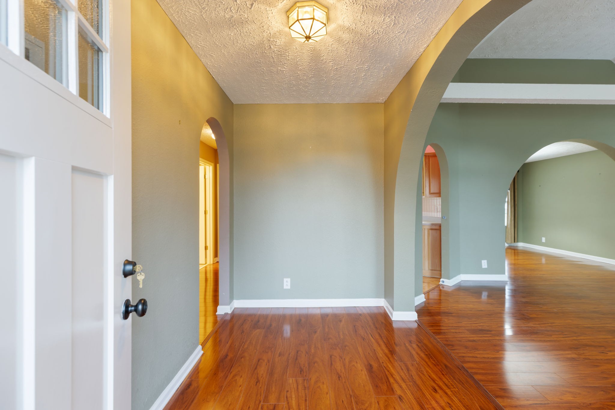 1240 Hunters Point Lane Spring Hill, TN 37174 - Photo 4 of 58 a view of hallway with natural light