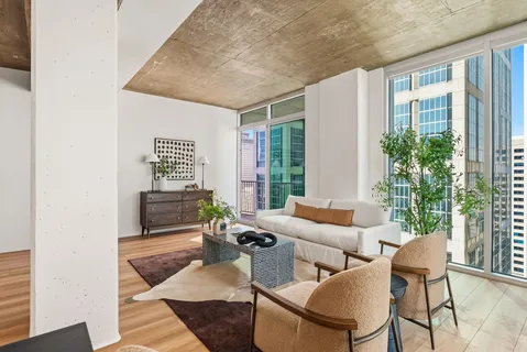 a living room with furniture and a potted plant