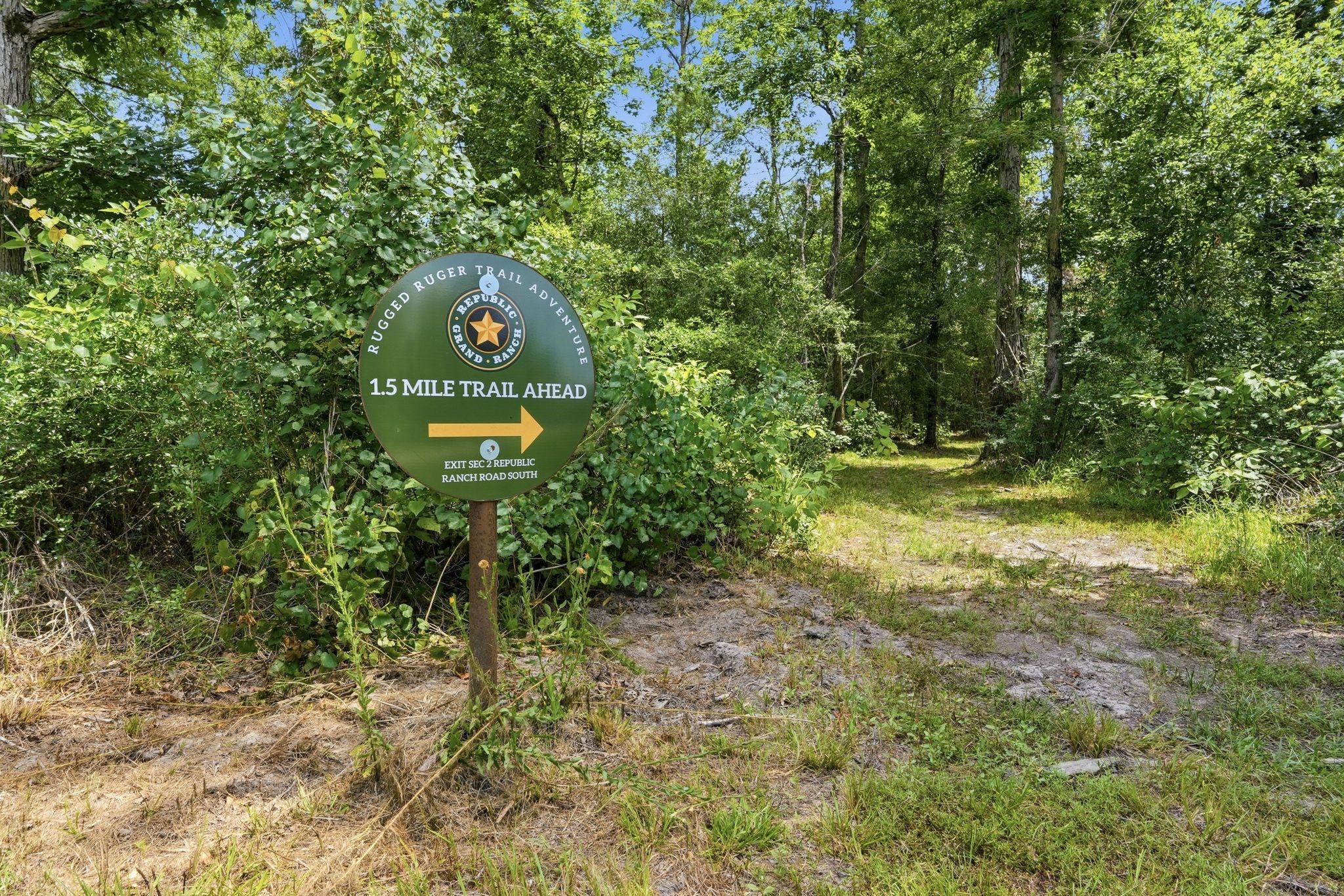 16222 Ridge Oak Road Willis, TX 77378 - Photo 11 of 32 Nature trail for hiking, biking and horseback riding