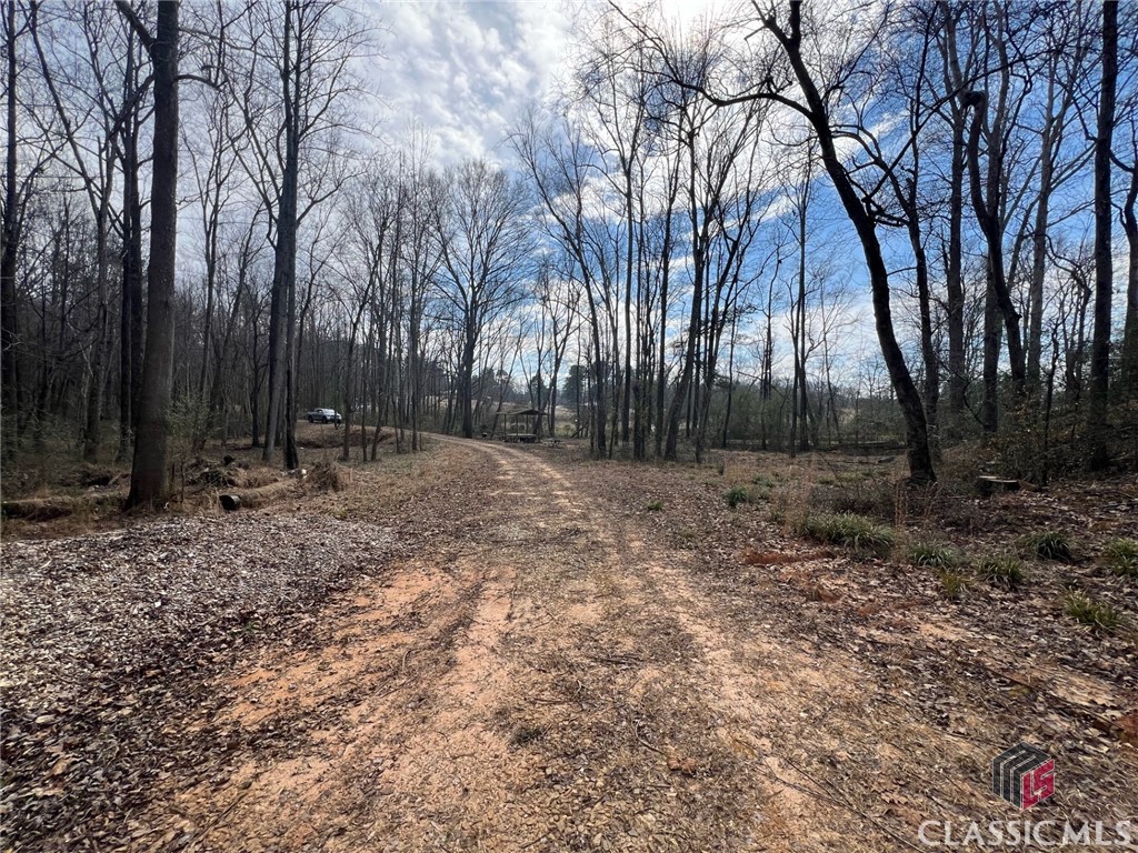0 Seagraves Mill Road Hull, GA 30646 - Photo 3 of 8