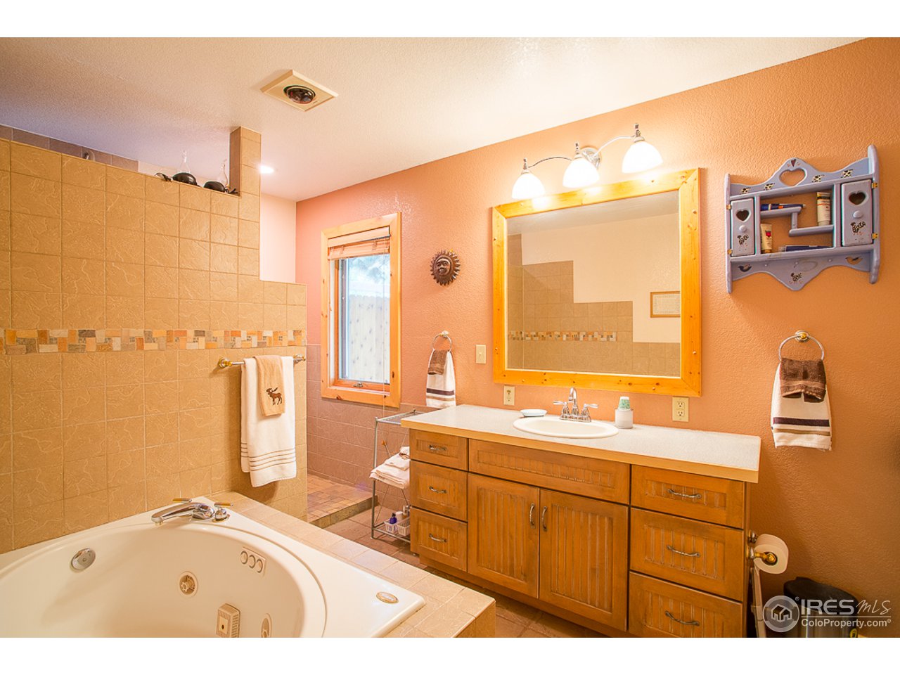 4895 Easley Road Golden, CO 80403 - Photo 9 of 25 Gallery Image 9