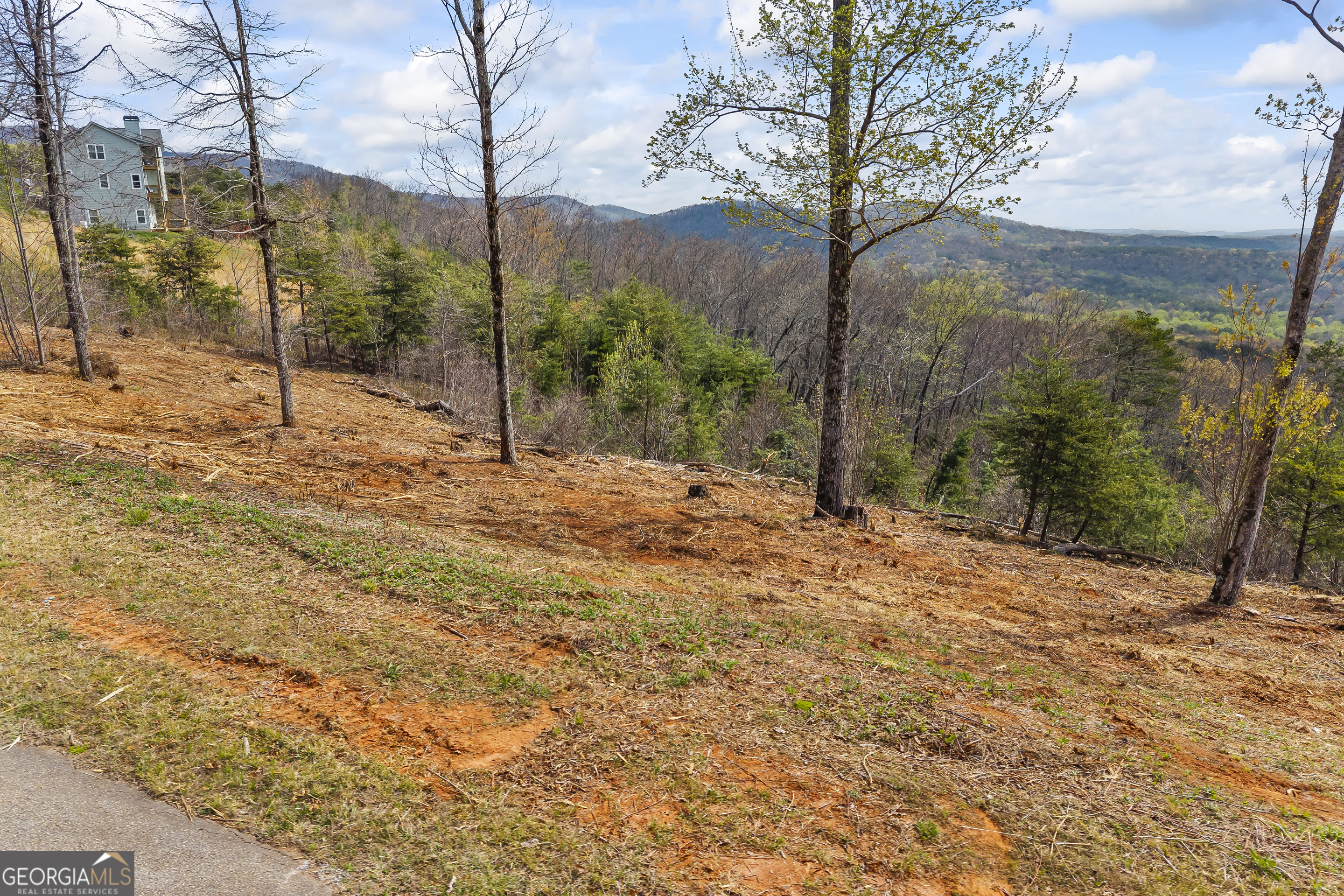Lot 36 Mountain Ridge Drive Clarkesville, GA 30523 - Photo 23 of 53