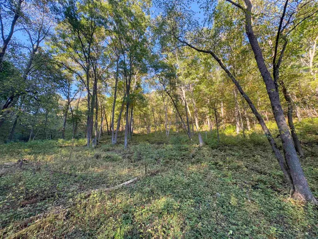 $195,000 | 12461 River Road, Soldiers Grove, WI 54655