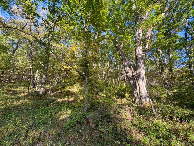 $195,000 | 12461 River Road, Soldiers Grove, WI 54655