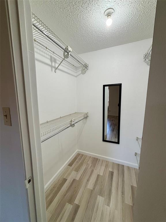 12480 Abrams Road, Unit 2805 Dallas, TX 75243 - Photo 14 of 18 Walk in closet with light wood-style floors