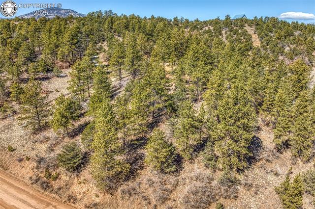 1389 Buttonwood Road Canon City, CO 81212 - Photo 10 of 39 Gallery Image 10