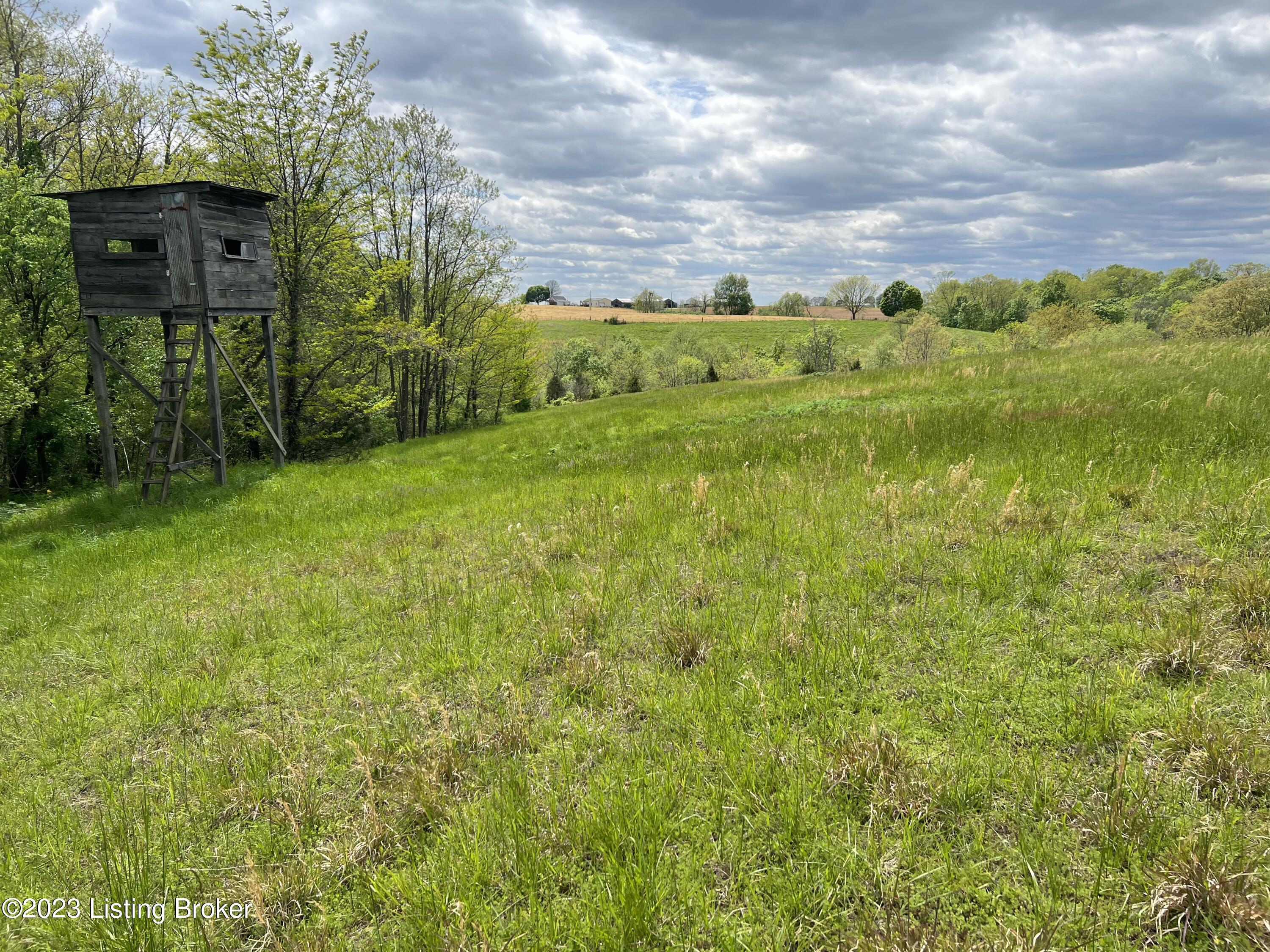 Hunting Blind 1