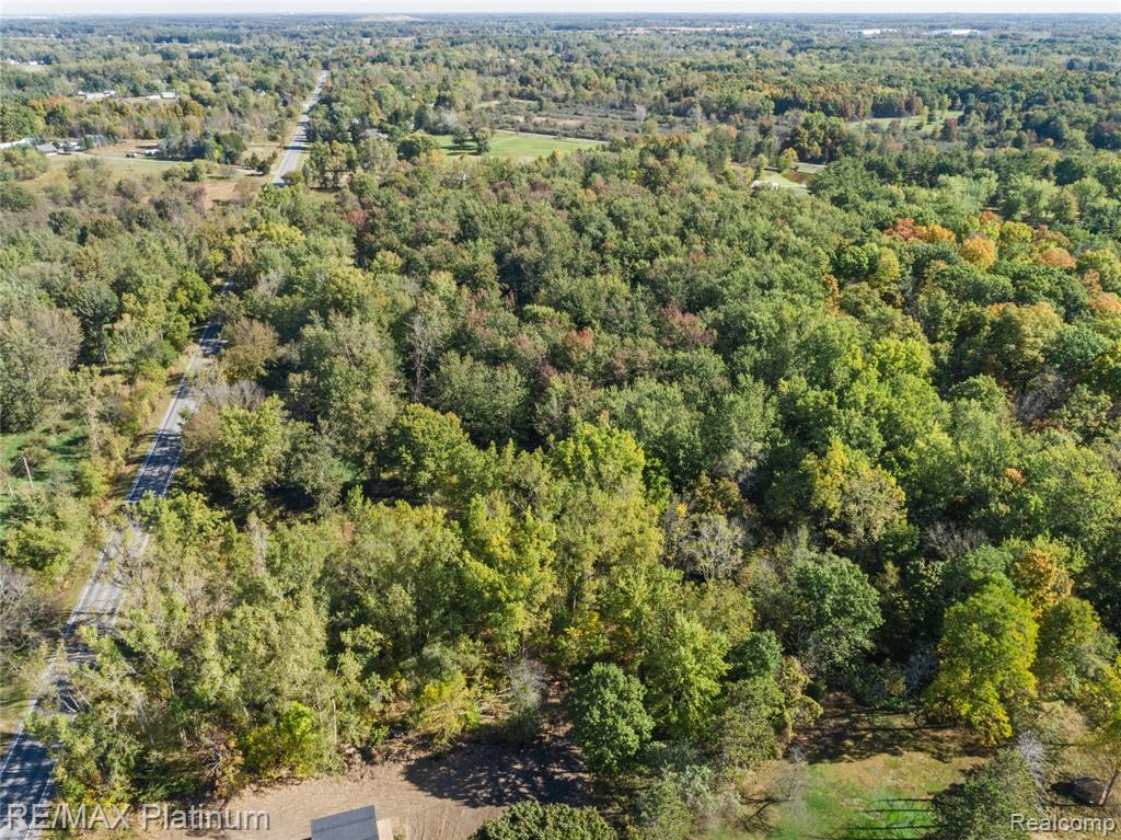 12111 Linden Road Linden, MI 48451 - Photo 9 of 12