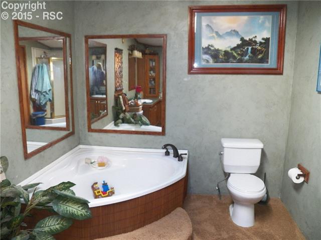 2386 Pathfinder Road Florissant, CO 80816 - Photo 25 of 32 Gallery Image 25