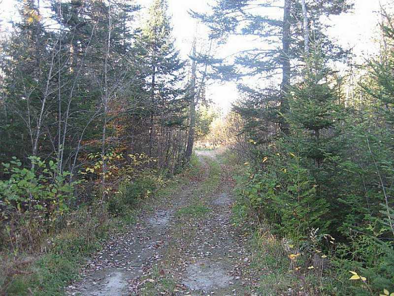 Land/Lot.