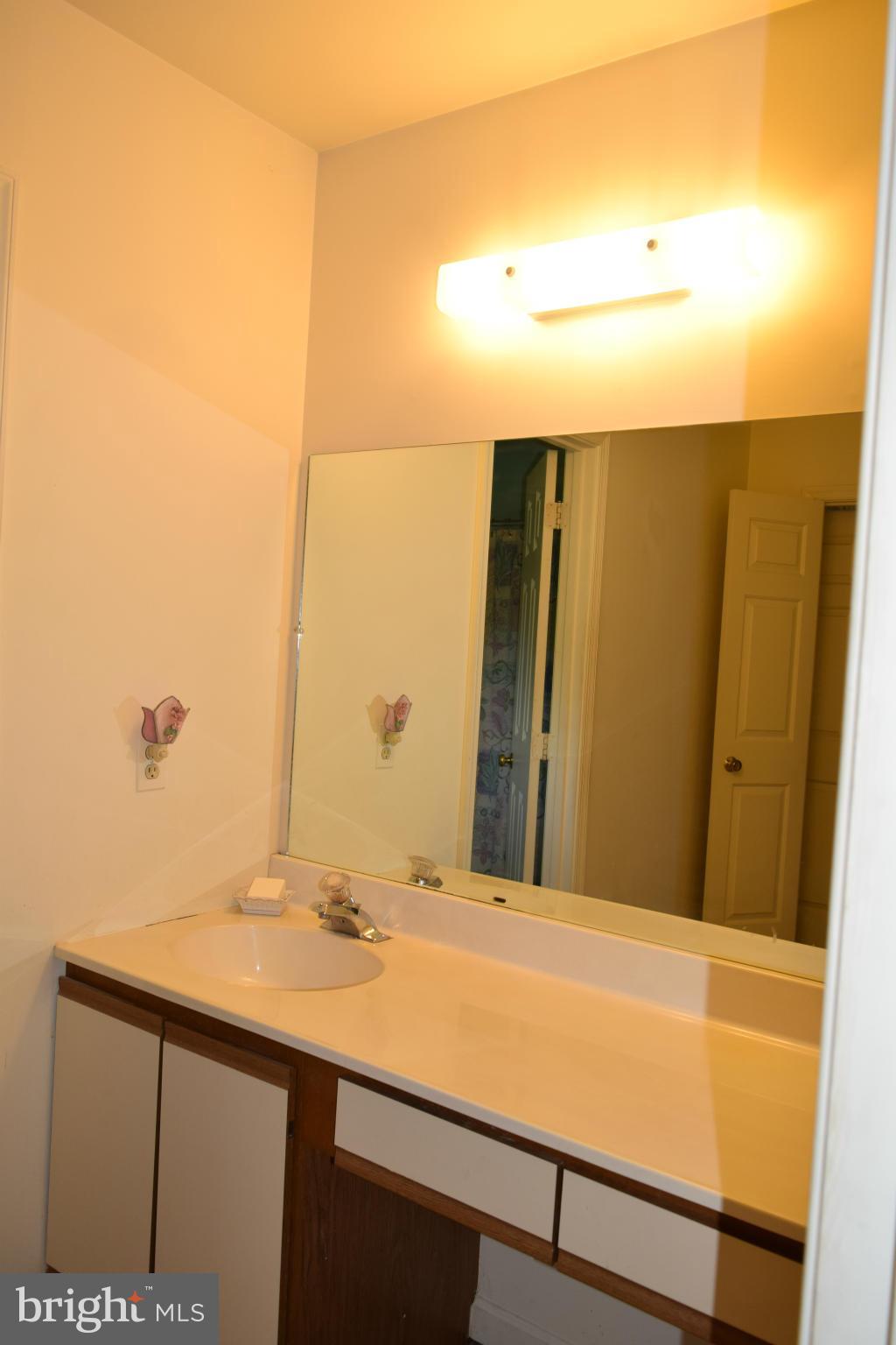 13089 Robin Road Culpeper, VA 22701 - Photo 24 of 28 Bath (Master)