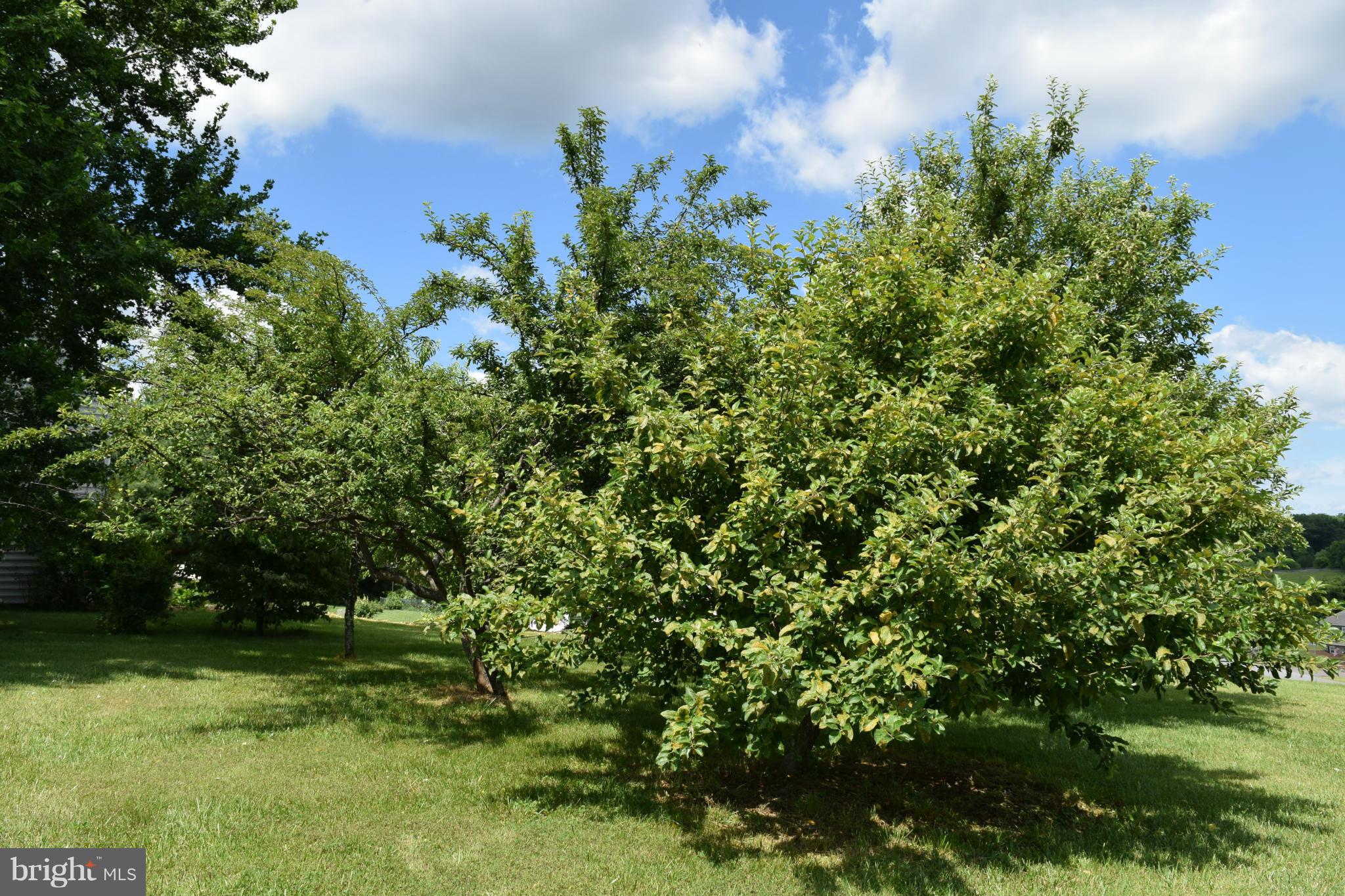 13089 Robin Road Culpeper, VA 22701 - Photo 26 of 28 View