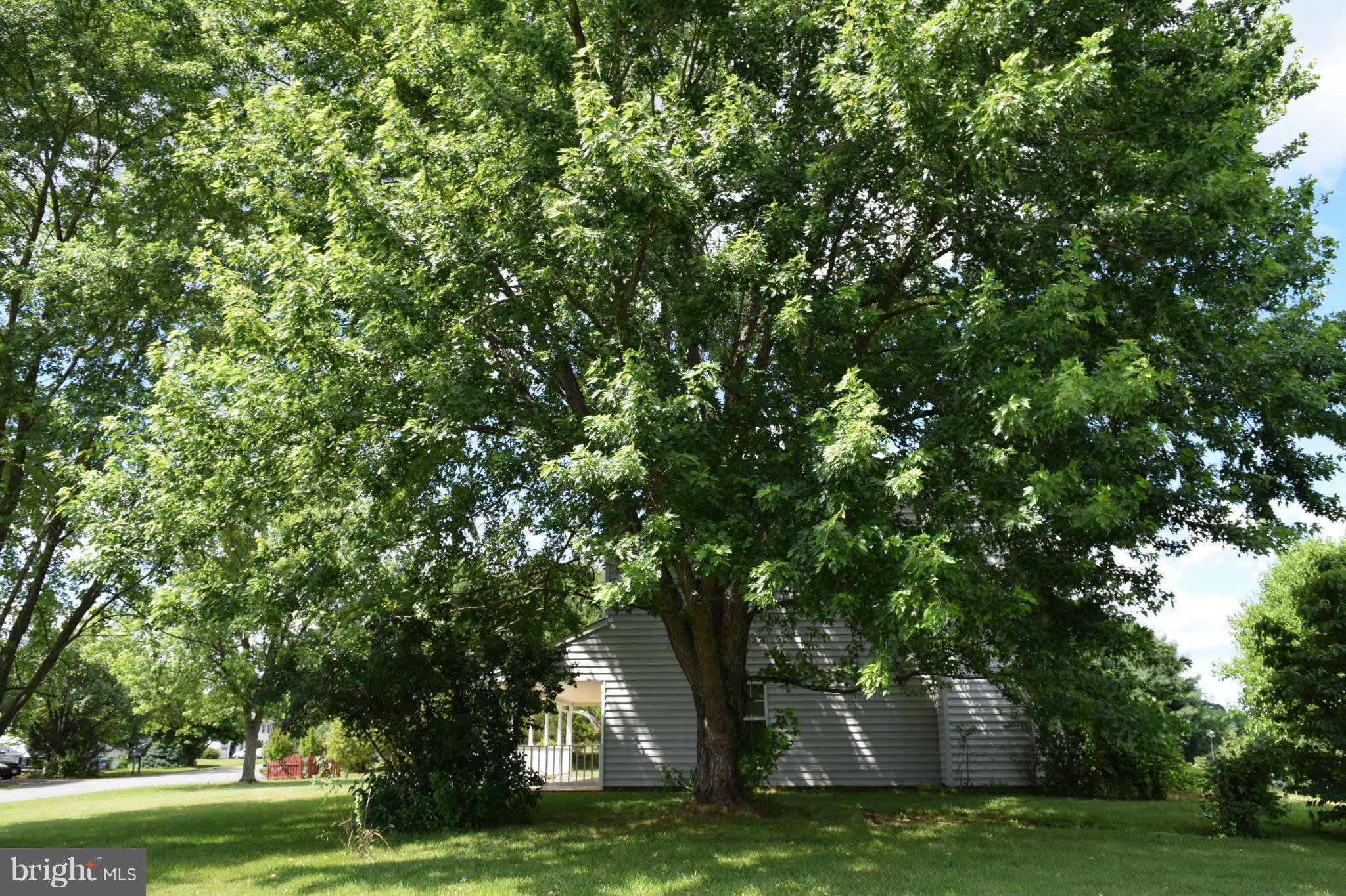 13089 Robin Road Culpeper, VA 22701 - Photo 28 of 28 Exterior (General)