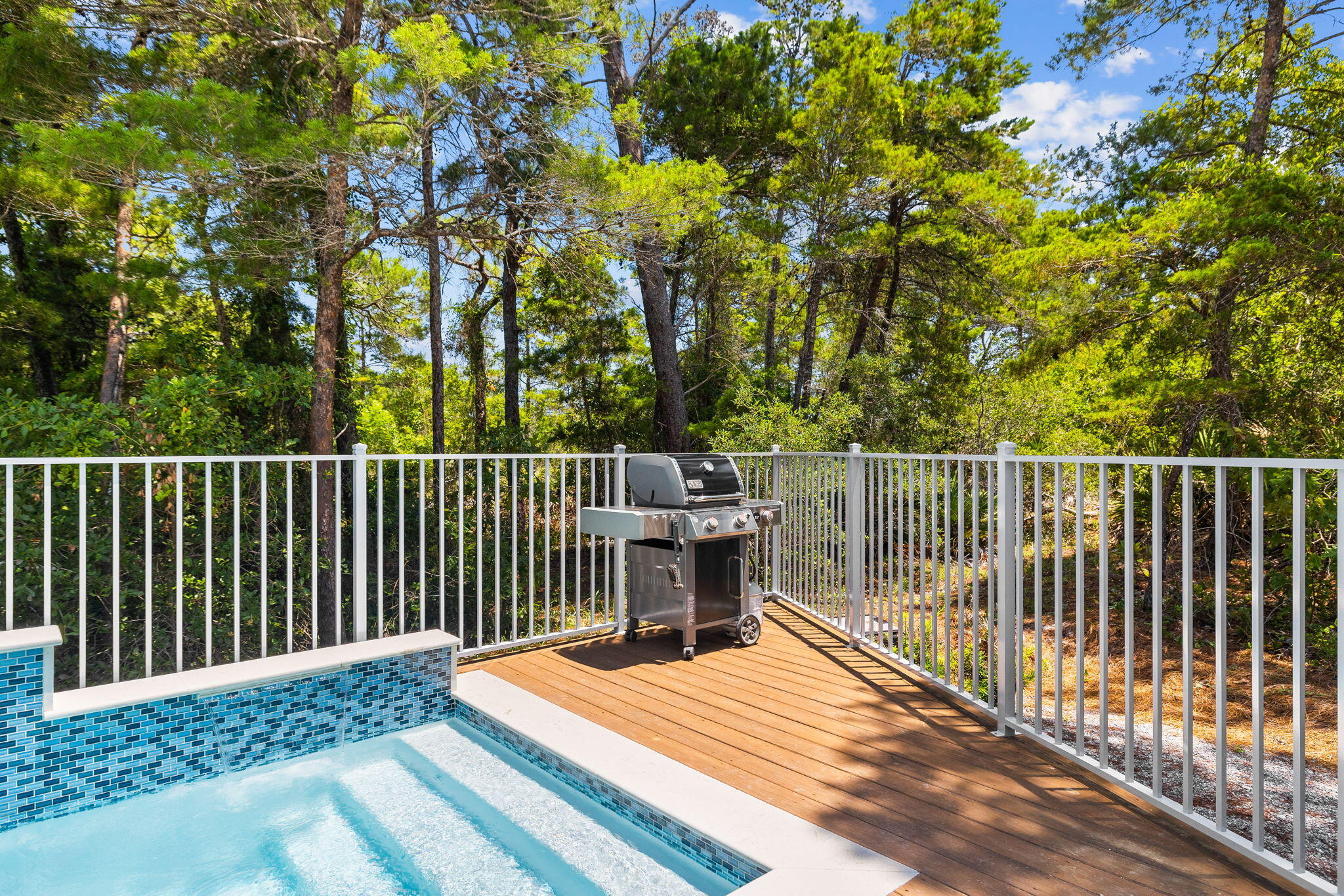 213 Spotted Dolphin Road Santa Rosa Beach, FL 32459 - Photo 12 of 72 Array_213SpottedDolphinRd-24