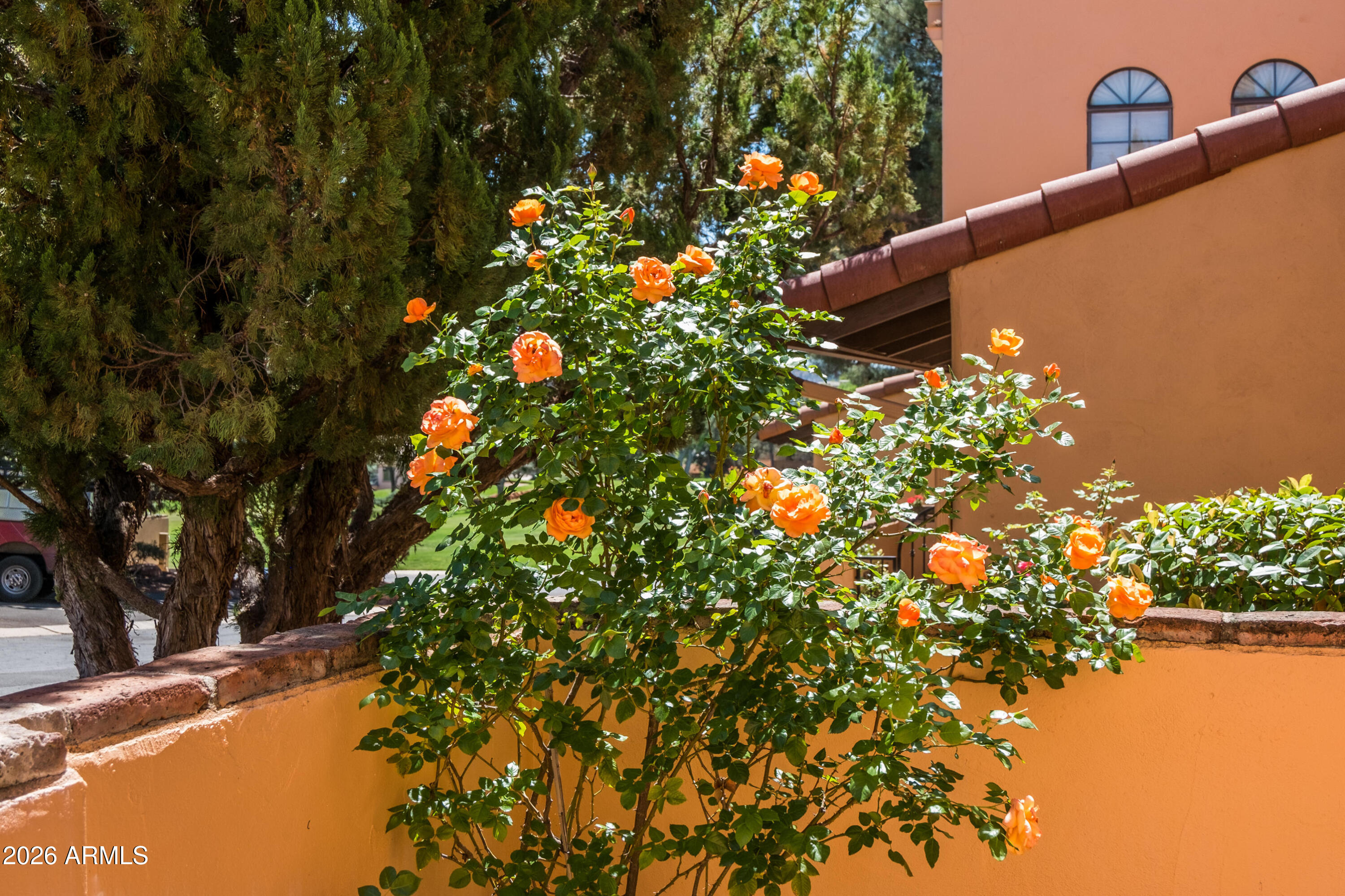 15 Ridge View Drive, Unit 17 Sedona, AZ 86351 - Photo 36 of 41 Roses in the front courtyard