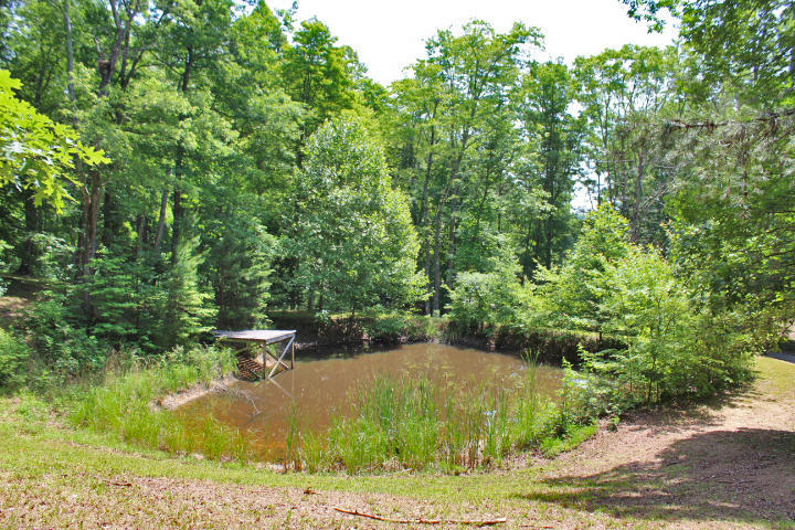 1558 Sandy Gap Road Somerset, KY 42501 - Photo 4 of 67 IMG_8684
