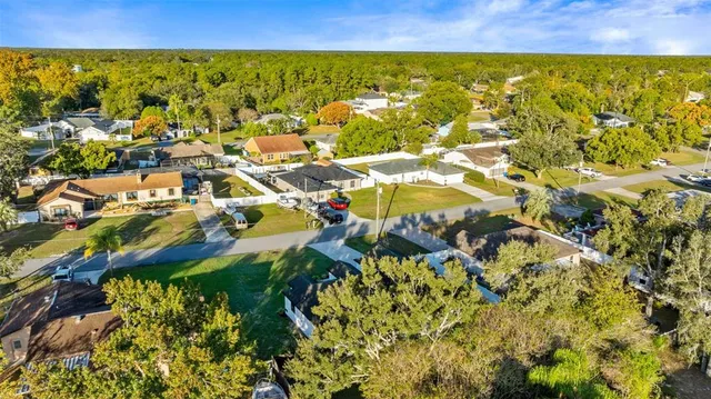 a view of city and green space