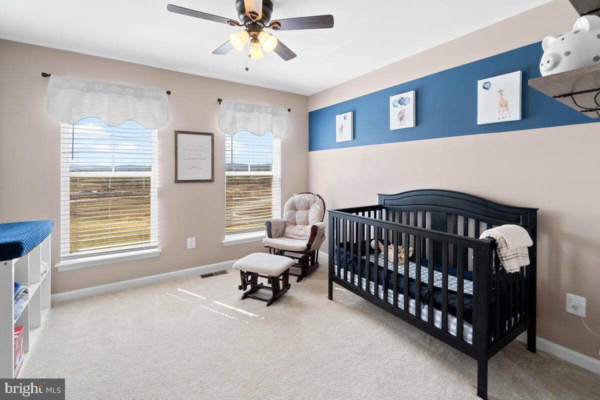 5841 Bella Marie Way Frederick, MD 21703 - Photo 21 of 30